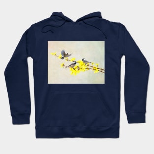 Chickadees Birds and Forsythia Flowers Hoodie